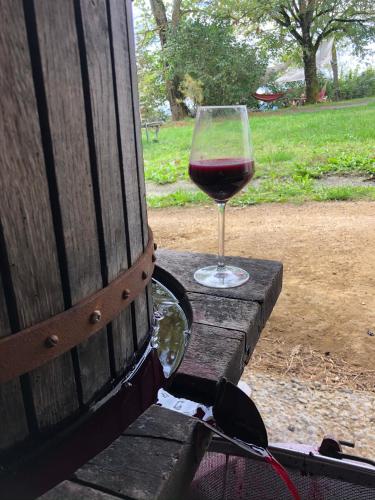 Gîte les vignes de pich – Photos 2