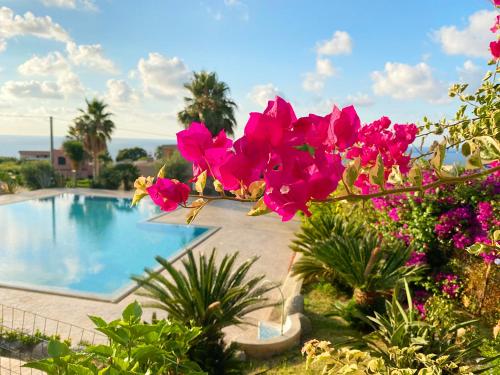 een tuin met roze bloemen en een zwembad bij Casa Amalfi Zambrone Madama in Torre SantʼIrene