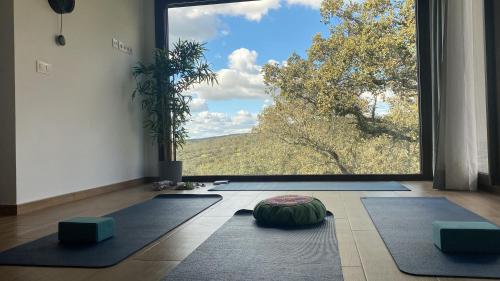 a room with a large window with yoga mats in front at La Siesta del Naranjo in Monesterio