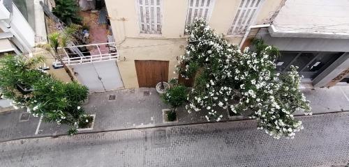 an overhead view of a building with flowering trees on the street at SHARED ROOMS NEAR ACROPOLIS AND MONASTIRAKI in Athens