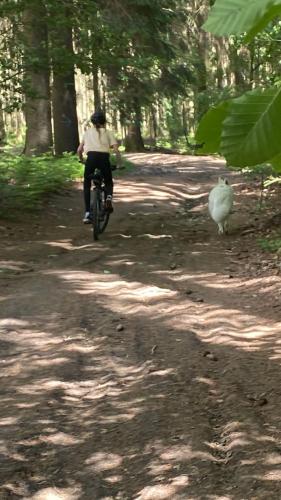 a person riding a bike on a path with a bird at Les studios du Domaine d'Eva in Libramont