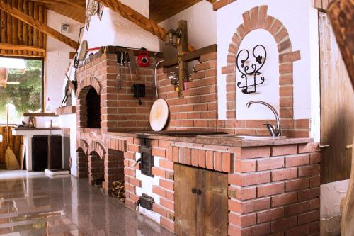 a kitchen with a brick oven with a sink at Cabana Barlogul Lupilor in Berevoeşti