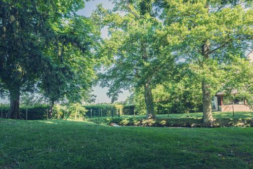 a field of green grass with trees in the background at La Pommeraie in Bruz