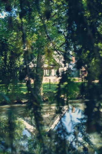 a tree in front of a house with a reflection at La Pommeraie in Bruz