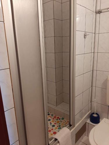 a bathroom with a shower with a glass door at Usługi hotelarskie Karpacz in Karpacz