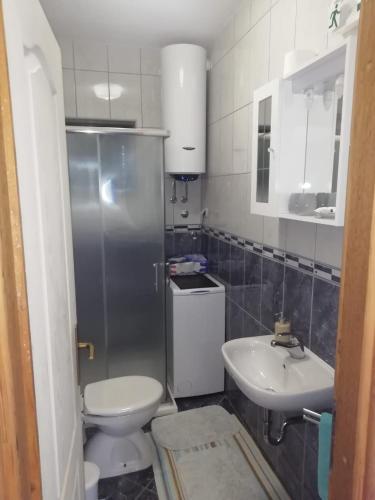 a bathroom with a toilet and a sink at Nikini dvori in Gradac