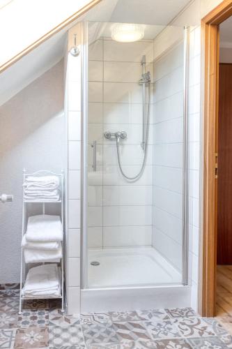a shower with a glass door in a bathroom at Ferienwohnung Ziesing Gernrode in Gernrode - Harz