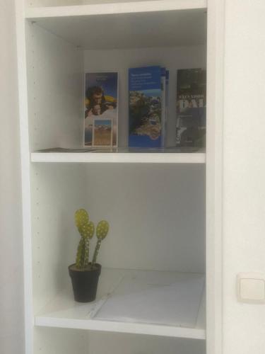 un estante de libros con libros y cactus en EL NIU DE LA BERTA, en Bellcaire dʼEmpordà