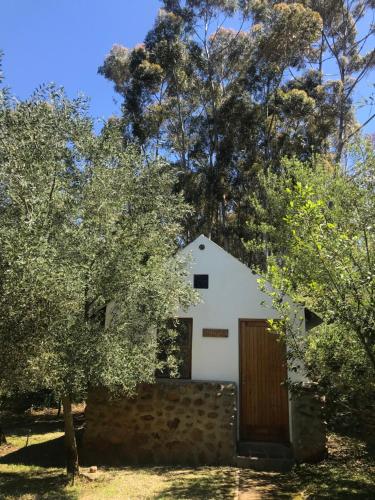 a white house with a wooden door and trees at Welbedacht Game & Nature Reserve in Tulbagh