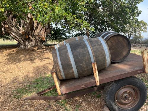 a barrel sitting on top of a wooden cart at Welbedacht Game & Nature Reserve in Tulbagh