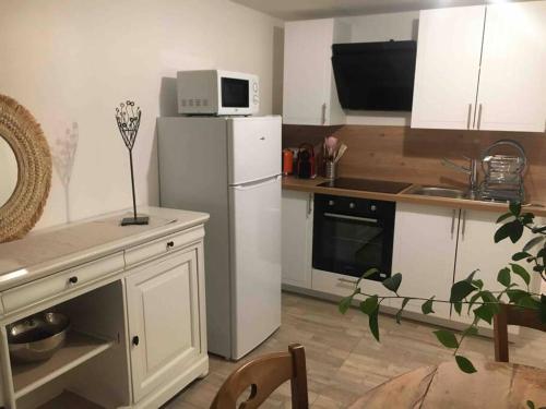 a kitchen with a white refrigerator and a microwave at Logement indépendant Piscine et Jardin in Creuzier-le-Neuf