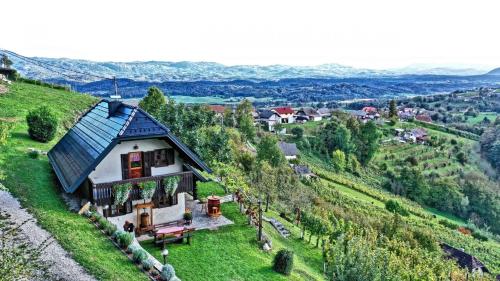 a house on top of a green hill at Vineyard cottage Podržaj in Otočec