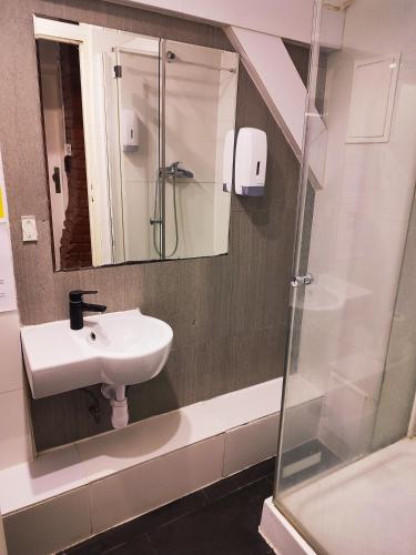 a bathroom with a sink and a shower at Hoża Apartments and Rooms in Warsaw