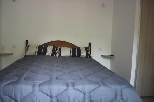 a bedroom with a bed with a blue comforter at Maisonnette dans le verdon in Salernes