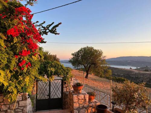 Brian & Dora's house in Kontogourata