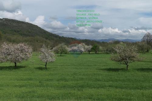 a field with trees in the grass with a quote at Green House in Rijeka