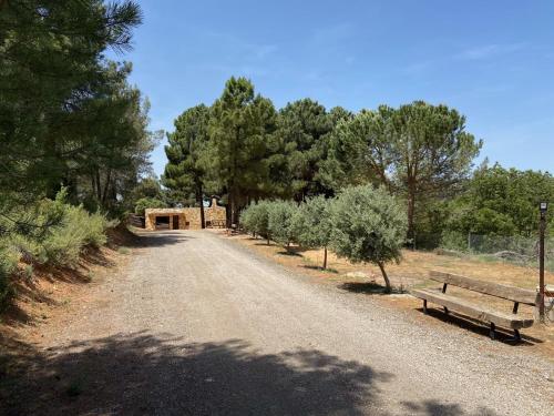 un camino de tierra con dos bancos y árboles en Casa rural La Marquesa - Cuenca, en Valera de Abajo