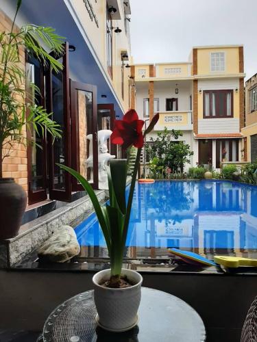 a red flower sitting on a table next to a pool at Green Grapefruit Villa in Hoi An