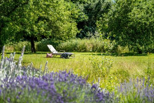 a chair and a table in a field with purple flowers at Hotel am Haslinger Hof in Bad Füssing