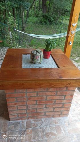 a wooden picnic table with a potted plant on it at Green House in Rijeka