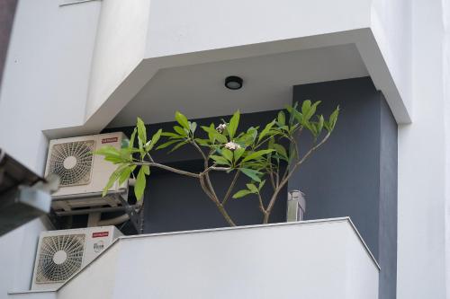 a plant sitting on top of a stair case at The Way Inn in Taichung