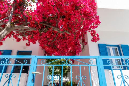 Gallery image of Ayeri Hotel in Parikia