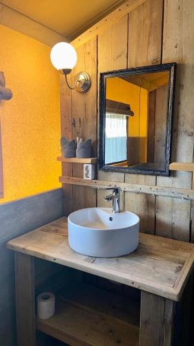 a bathroom with a sink and a mirror at VillaLaDiva Boutique Glamping in Massignano