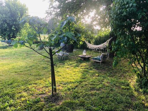 - un hamac dans un jardin avec une table et un arbre dans l'établissement Gîte à 10 minutes d'Anduze, au pied des Cévennes, à Bagard