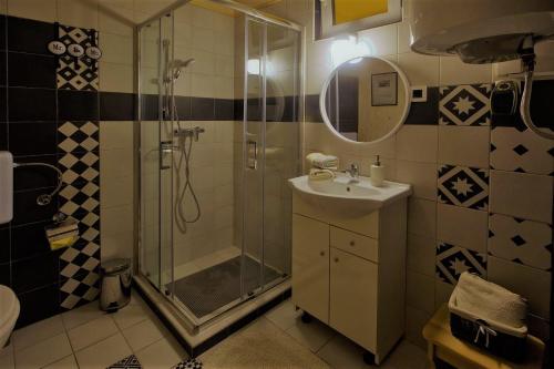 uma casa de banho com um chuveiro e um lavatório. em Apartma Caprivi Zavod za razvoj turizma Kočevski rog em Kocevje