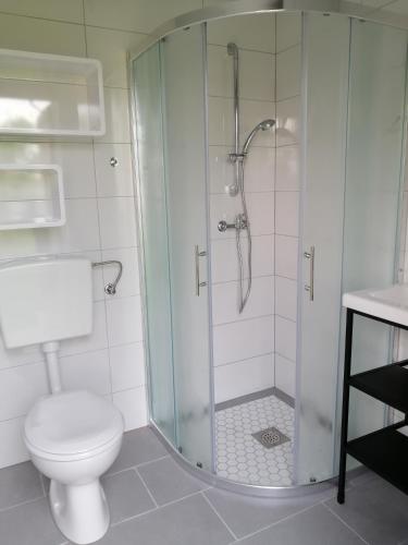 a bathroom with a toilet and a glass shower at Glamping with a view in Smlednik