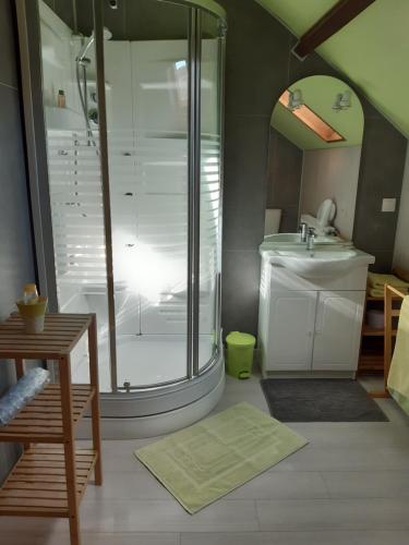 a bathroom with a shower and a sink at AU COEUR DE L'ENCLAVE in Moeuvres