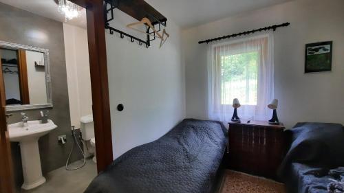 ein Schlafzimmer mit einem Bett, einem Waschbecken und einem Fenster in der Unterkunft Kura pod Złotym Kogutem in Kudowa-Zdrój