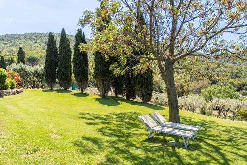 a park bench sitting under a tree in a field at Country Relais La Mortella in Porto Ercole