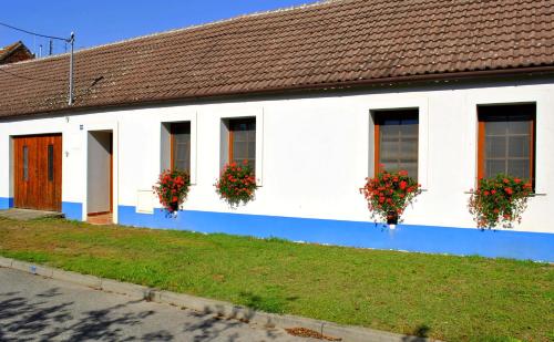 a white building with flower boxes on the windows at Slovácká chalupa in Ratíškovice
