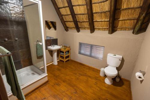 フッドスプルイトにあるLarima Bush Retreatのトイレ、シャワー、洗面台を備えたバスルーム