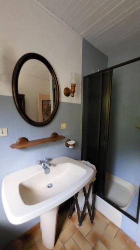 une salle de bain avec un lavabo, une douche et un miroir dans l'établissement Gite la Mie de Pain, à Bogny Sur Meuse