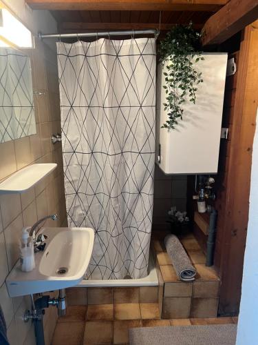 a bathroom with a shower and a sink at Haus am See in Henndorf am Wallersee