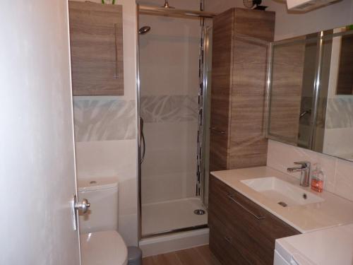 une salle de bain avec une douche, des toilettes et un lavabo dans l'établissement Sol-y-Days Murènes, Appartement moderne rive droite proche plages et centre, au Grau-du-Roi