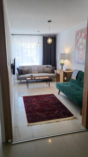 a living room with a green couch and a rug at Apartament Mochnackiego in Olsztyn