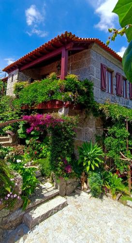 a cat sitting in front of a building with flowers at Casa da Benfeitoria in Guimarães