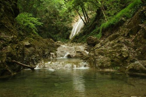 a creek with a waterfall in a forest at LA CASA DI CHIANNI La Pieve in Chianni
