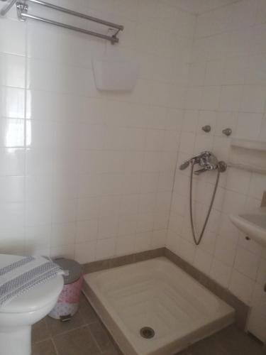 a bathroom with a shower and a toilet at Atlantis Hotel in Skala Potamias