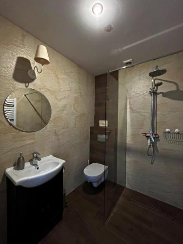 a bathroom with a sink and a shower and a toilet at Gospoda Magurska in Sękowa