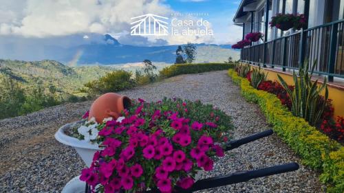 a garden with flowers in a toilet outside of a building at Hotel Campestre Casa de la Abuela in La Capilla