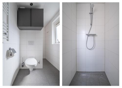 two pictures of a bathroom with a shower and a toilet at Zeester in Serooskerke