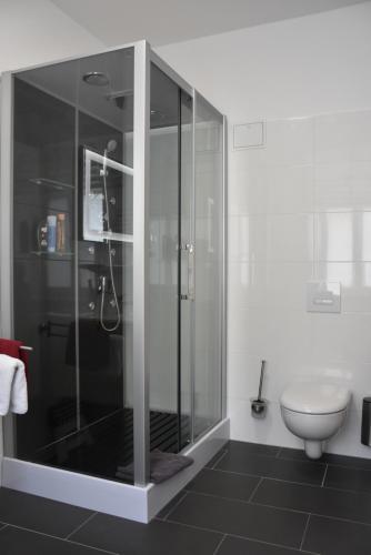 a bathroom with a glass shower and a toilet at Hotel Garni Am Klostermarkt in Plauen