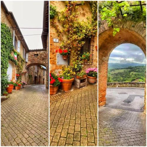 a collage of pictures of an alley with plants at Villa Righino in Murlo