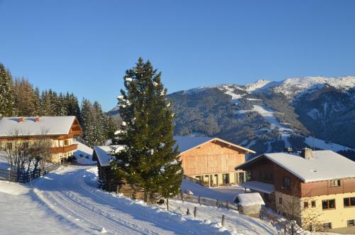 a snow covered village with a pine tree and mountains at Oberegghof in Wagrain