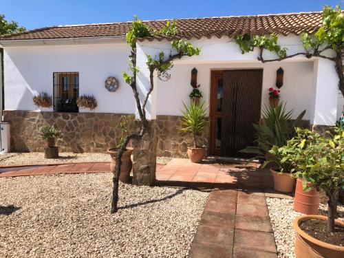 a small tree in front of a house at Casa La Alegria 37 in Málaga