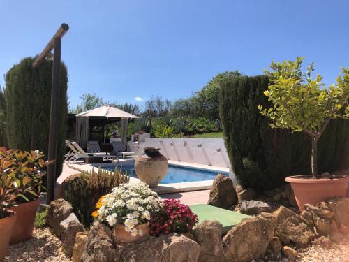 un jardín con piscina y algunas plantas en Casa La Alegria 37 en Málaga